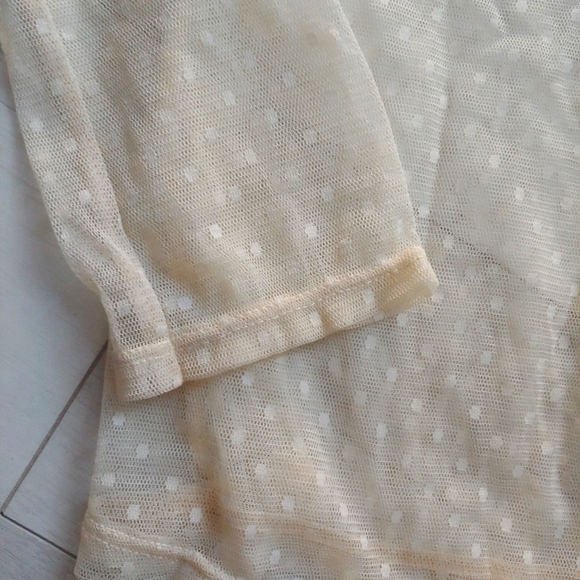 Persnickety Cream Sheer Swiss Dot Top - Picture 9 of 10